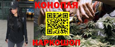 сатива Пенза